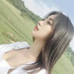 B—sports登录B体育